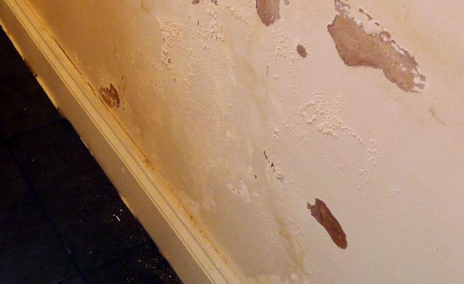 basement-humidity-mold