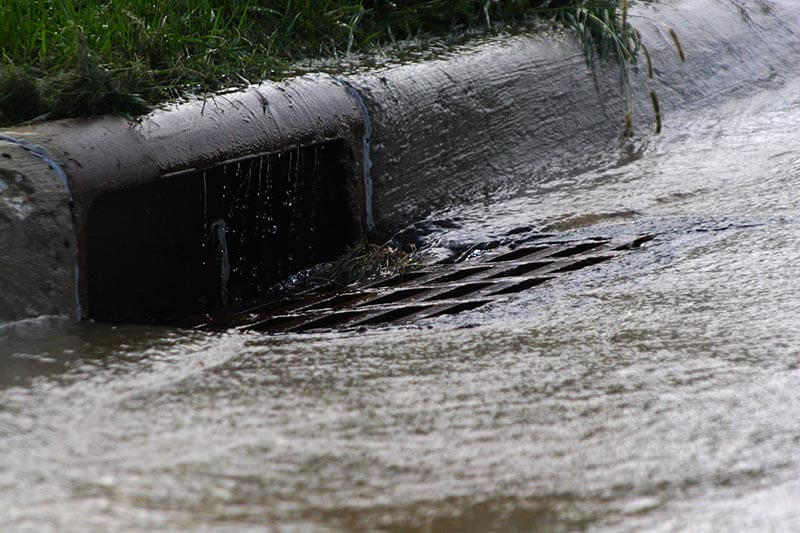 storm drain on street in the rain