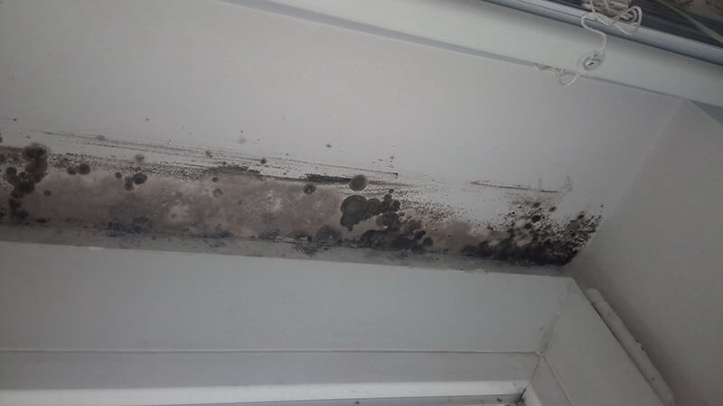 mold forming in basement door frame