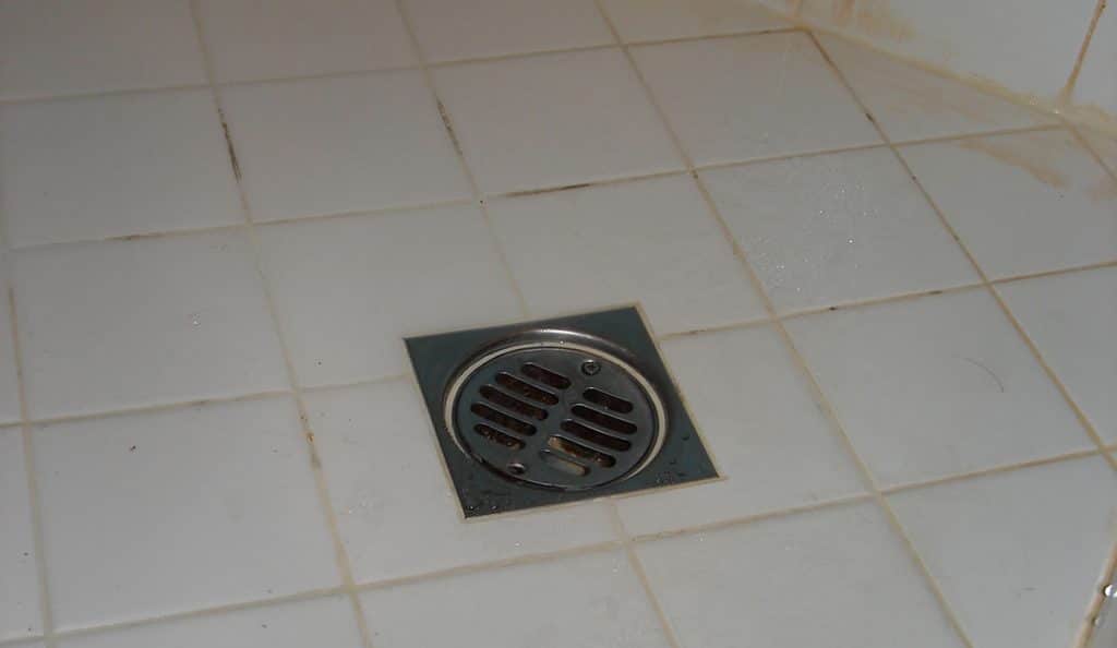 Standing Water in Basement Floor Drain | MT Drains