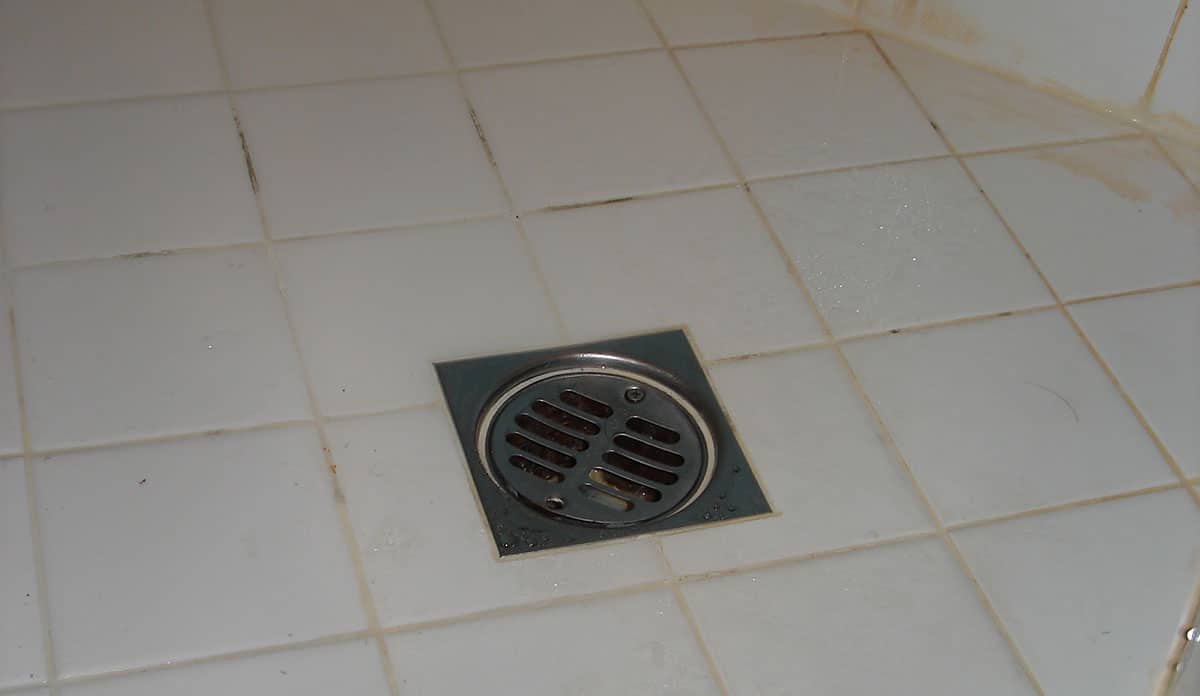 shower drain overflow