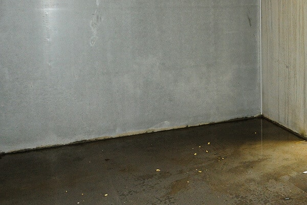 water damage in a basement with mildew on the walls