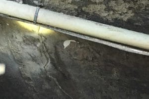 water seeping in through basement wall crack