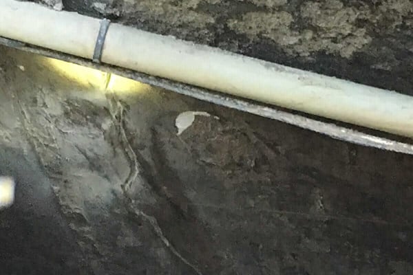 Basement Water Seepage Causes, Leaking Pipe Basement Wall