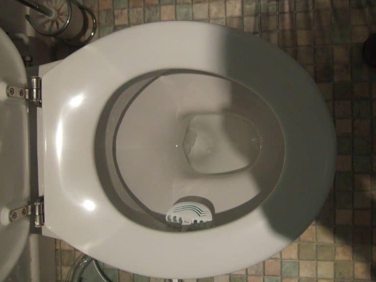 Common Reasons Your Toilet Is Not Flushing Well | MT Drains