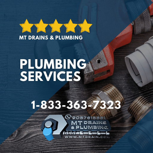 PLUMBING SERVICES