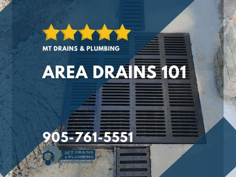 Area Drains 101 | How They Work, Cleaning, and More | MT Drains & Plumbing