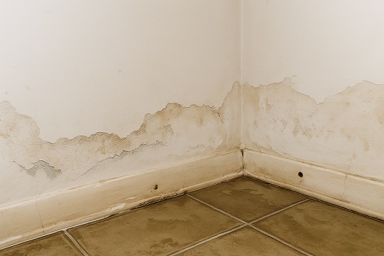 Damaged insulation and drywall basement