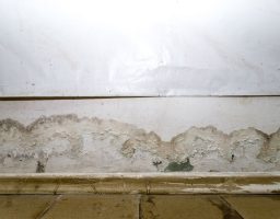 cove-joint-leak basement leak where wall meets the floor