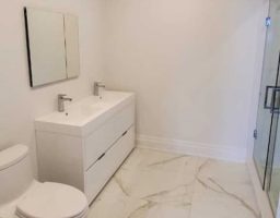 residential-plumbing-bathroom-clogged-toilet